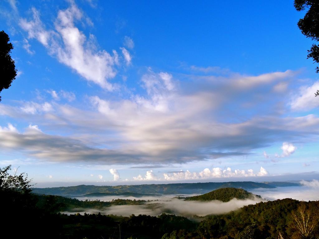 Maleny Luxury Cottages 객실 사진